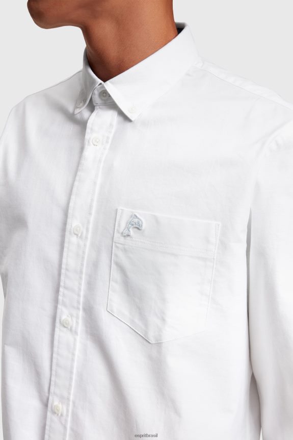 camisa oxford regular homens Esprit branco camisas 82P6TP799