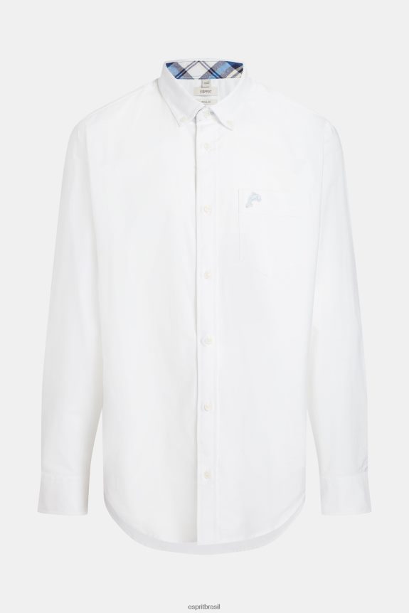 camisa oxford regular homens Esprit branco camisas 82P6TP799