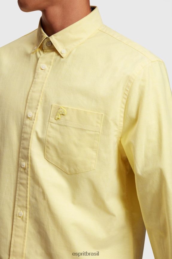 camisa oxford regular homens Esprit girassol amarelo camisas 82P6TP801